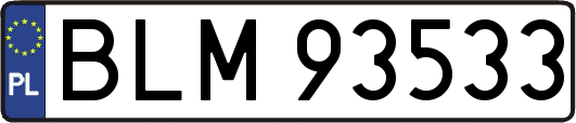 BLM93533