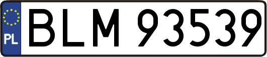 BLM93539