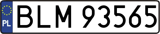 BLM93565