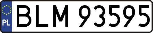 BLM93595