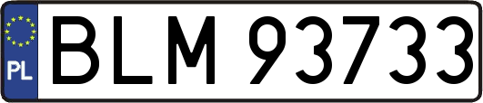 BLM93733