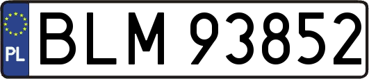 BLM93852