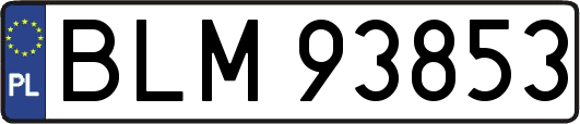 BLM93853