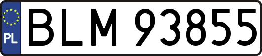 BLM93855