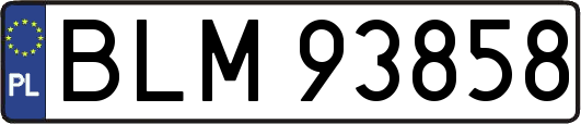 BLM93858