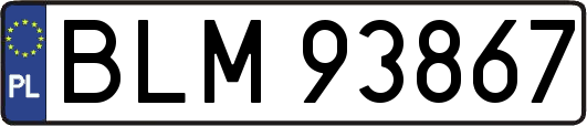 BLM93867