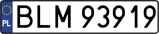 BLM93919