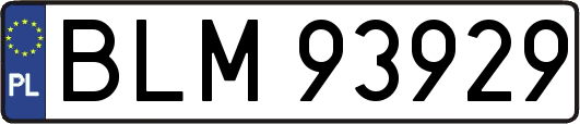 BLM93929