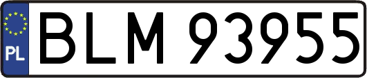 BLM93955