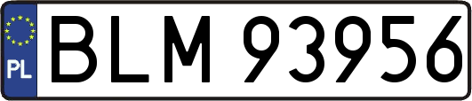BLM93956