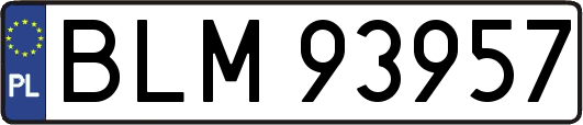BLM93957