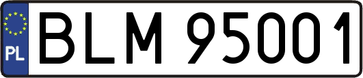 BLM95001