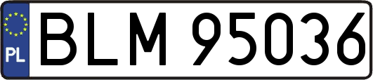 BLM95036