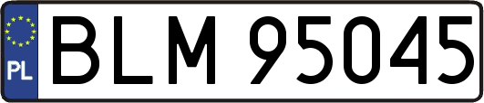 BLM95045