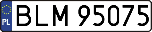 BLM95075