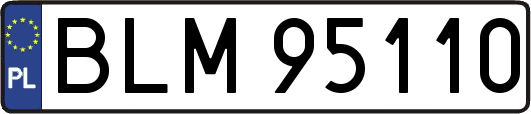 BLM95110