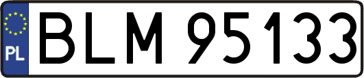 BLM95133