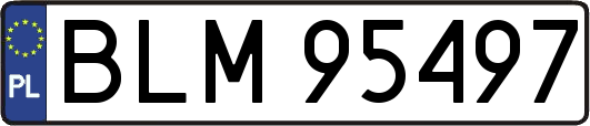 BLM95497