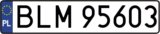 BLM95603