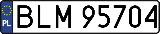 BLM95704