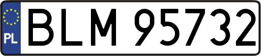BLM95732