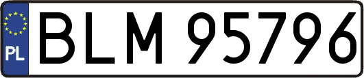 BLM95796