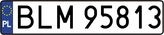 BLM95813