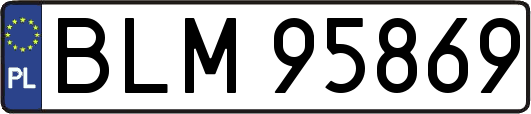 BLM95869