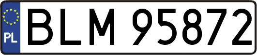 BLM95872