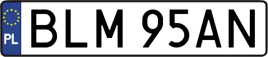 BLM95AN