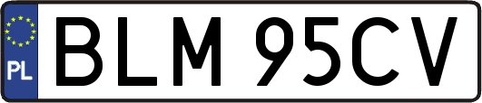 BLM95CV
