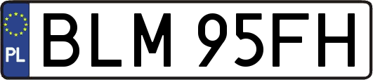BLM95FH