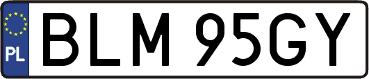 BLM95GY
