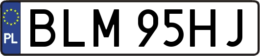 BLM95HJ