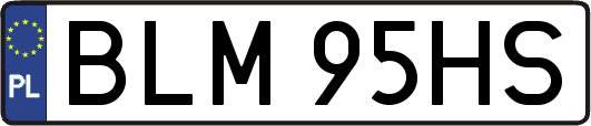 BLM95HS