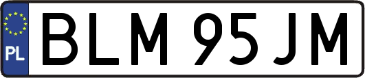 BLM95JM