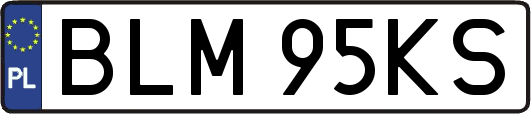 BLM95KS