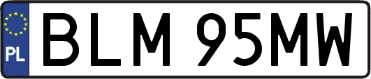 BLM95MW