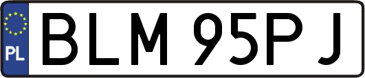 BLM95PJ