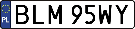 BLM95WY