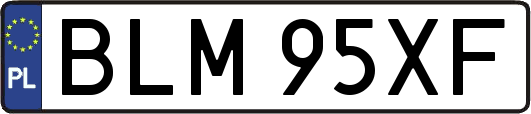 BLM95XF