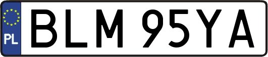 BLM95YA