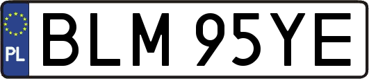 BLM95YE