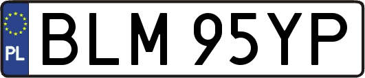 BLM95YP