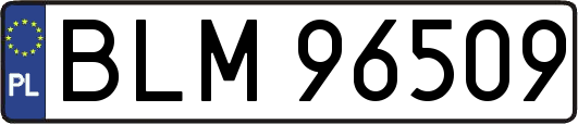 BLM96509