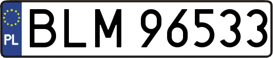BLM96533