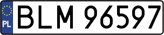 BLM96597