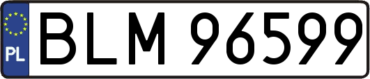 BLM96599