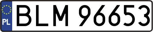 BLM96653