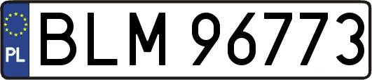 BLM96773